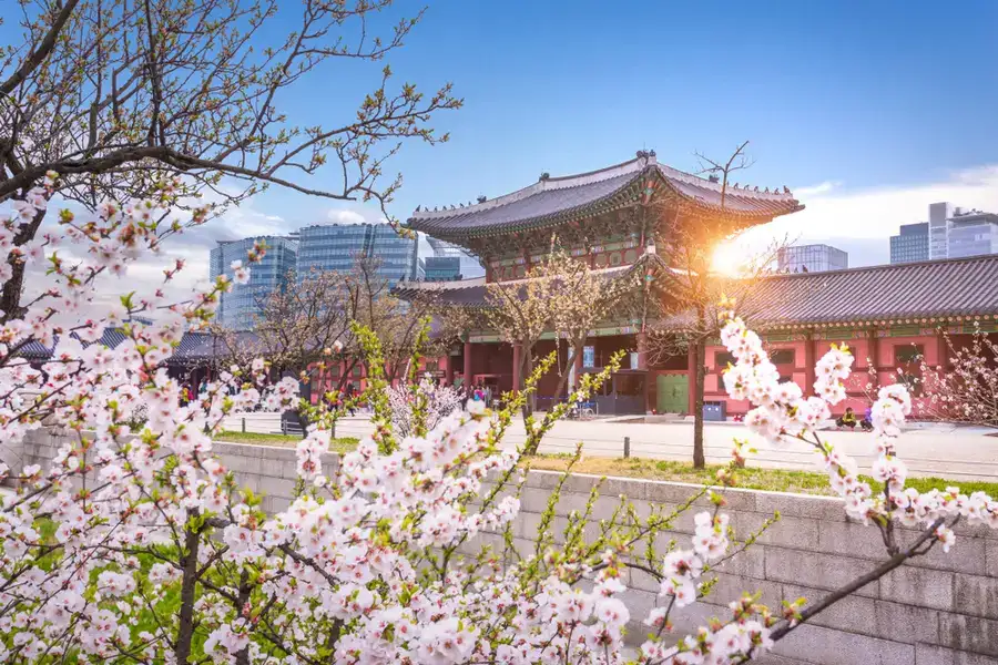 Menikmati Keindahan Arsitektur Spiritual Kuil Bersejarah Paling Indah di Korea Selatan